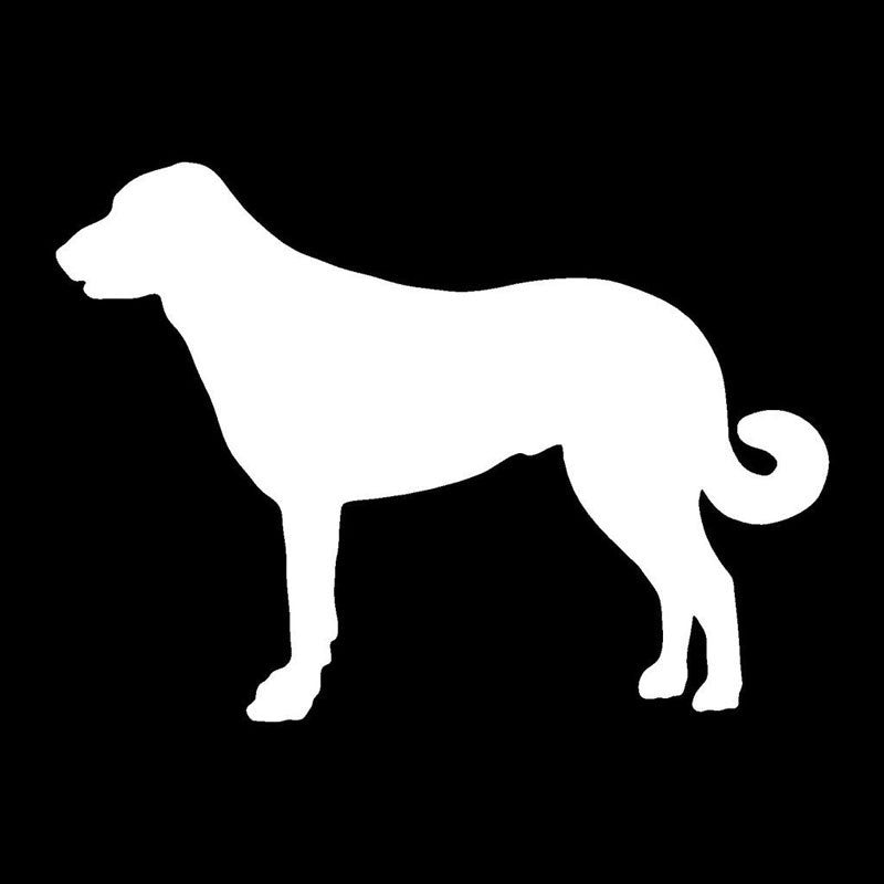 17.5cm*12.7cm Anatolian Shepherd Dog Lovely Creative Cartoon Stickers Car Cover Scratch Decorative Decals
