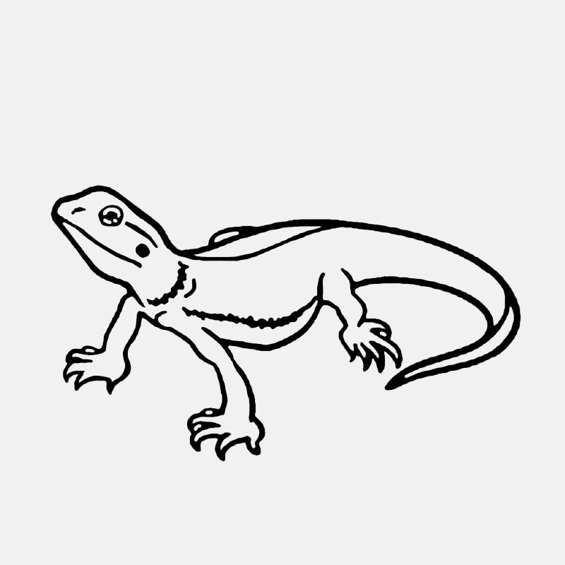 13.7cm*8cm Fashion Lizard Decor Car Stickers  Bumper Car Window Personalized Decals 6 Colors