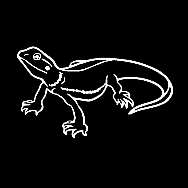 13.7cm*8cm Fashion Lizard Decor Car Stickers  Bumper Car Window Personalized Decals 6 Colors