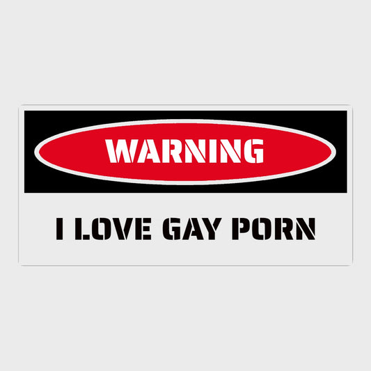 5"x2.5" I Love Gay P*rn Funny Warning Bumper Stickers Decals for Car Truck Laptop