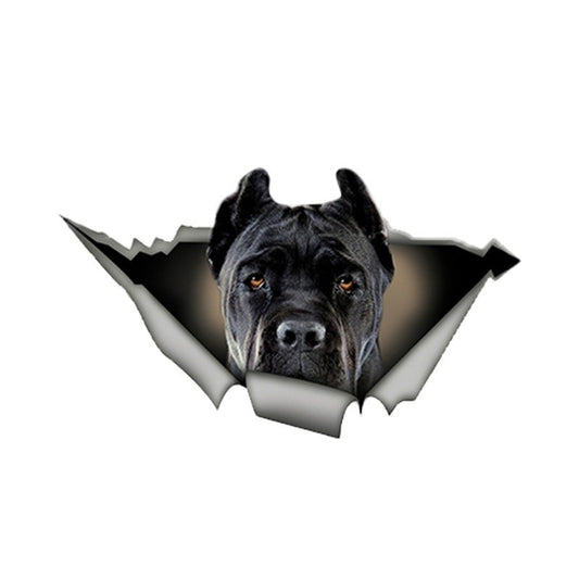 13cmx7.6cm Black Cane Corso Car Sticker Torn Metal Decal Stickers Waterproof Car Styling Pet Dog Decals