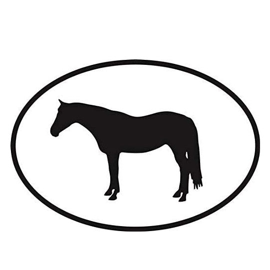 Quarter Horse Euro Oval Car Sticker And Decal for Windows, Cars, SUV, Trucks
