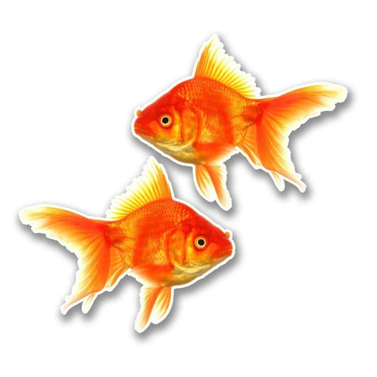 Goldfish Funny Car Sticker And Decal for Windows, Cars, SUV, Trucks 1Pair