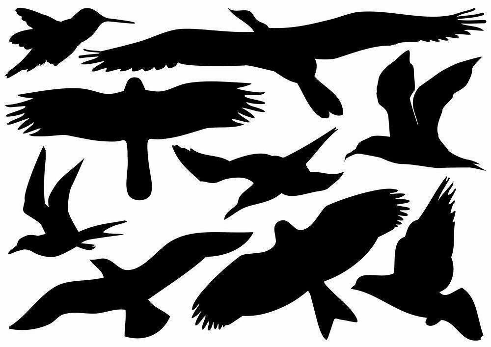 18 Bird Silhouettes Protective Warning Sticker Windows Glass For Protection