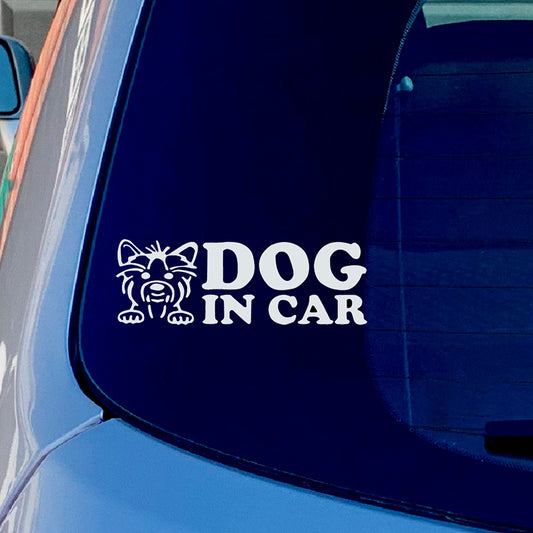 DOG IN CAR Vinyl Sticker Decal for Car Truck Window Bumper White