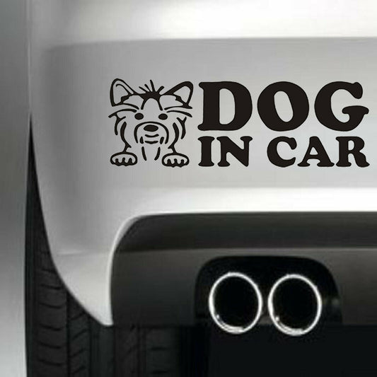 DOG IN CAR Vinyl Sticker Decal for Car Truck Window Bumper Black