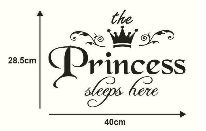 The Princess Sleeps Here Wall Sticker Decal for Baby Nussy Kids Girl Daughter Living Room Bedroom Wall Art Decor Black