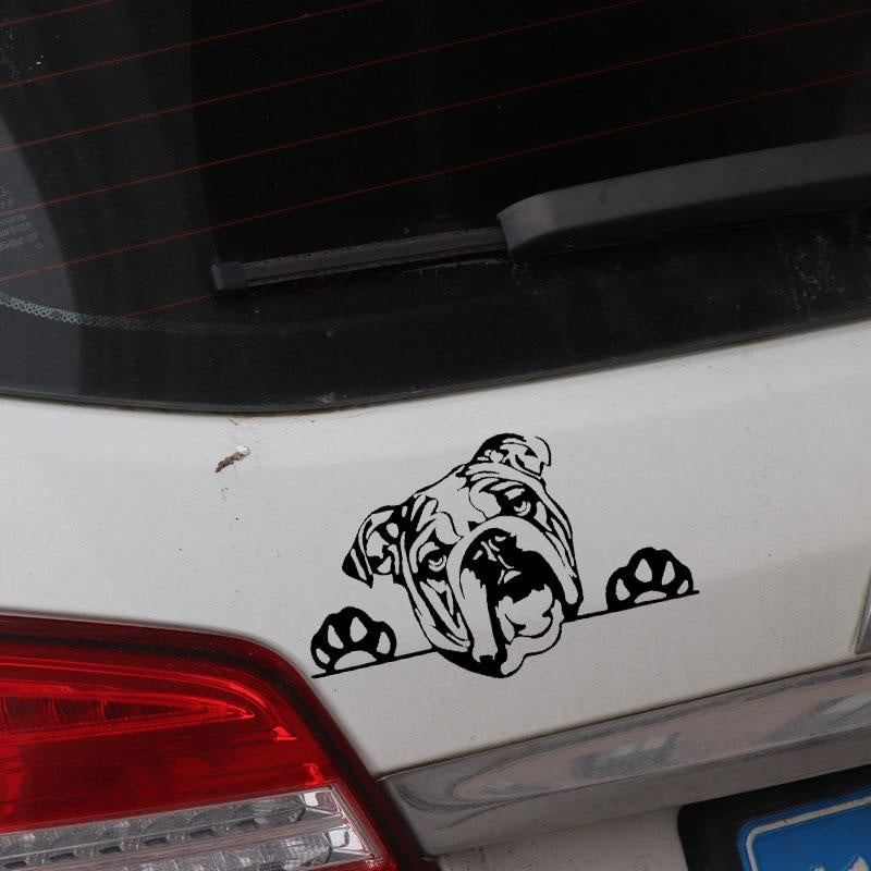 16.2X9.7CM Olde English Bulldog Bully Dog Decal Vinyl Car Sticker Funny Pattern