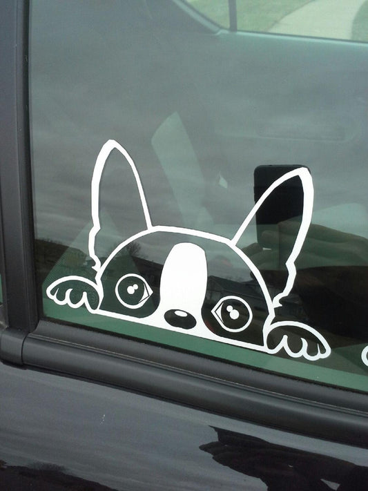 Hot The Dex G (Boston Terrier) Window Decal
