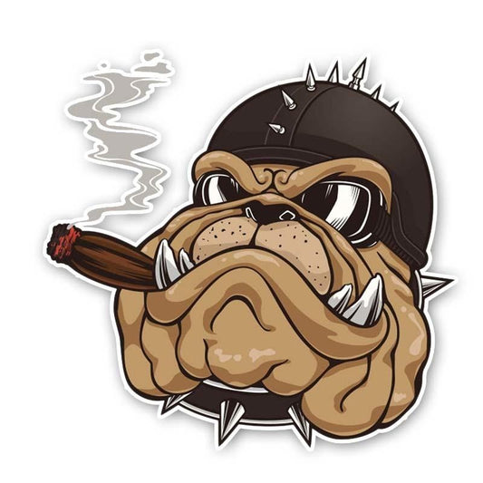 14.8CM*14.2CM The Big Dog Is Smoking Sticker Car  Decal 12-300288