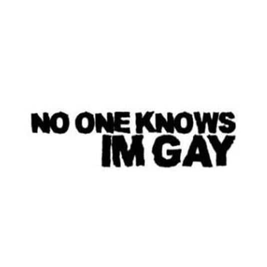 No One Knows Im Gay Funny Vinyl Sticker Decal for Car Truck Window Bumper Black