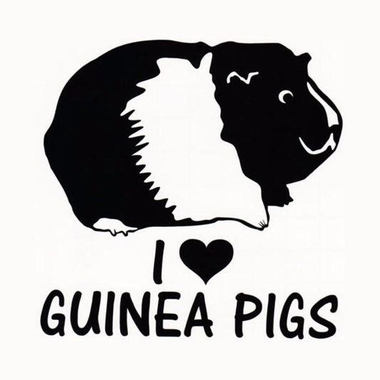 New Fashion   Personality Animal I LOVE GUINEA PIGS Cute Cartoon Vinyl Window Stickers