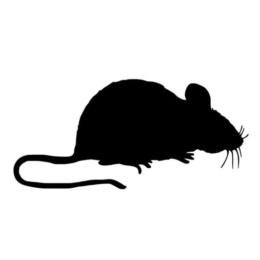 High-quality   Cute Little Animal Rat Mouse Car Sticker