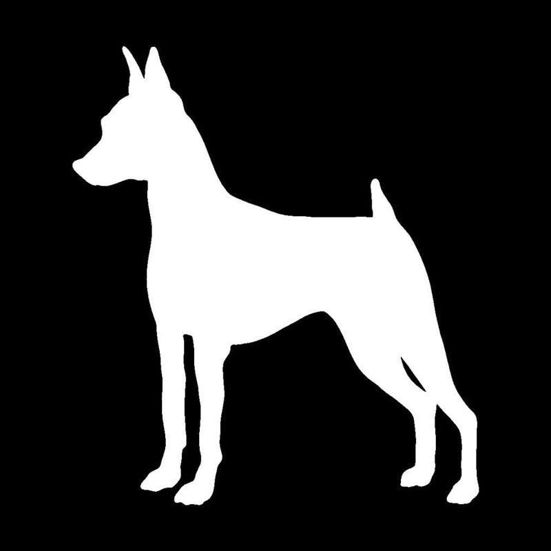 11.2*12.7CM Miniature Pinscher Dog Classic Cartoon Stickers Fashion Car Windshield Decals Decorative Accessories C6-0575