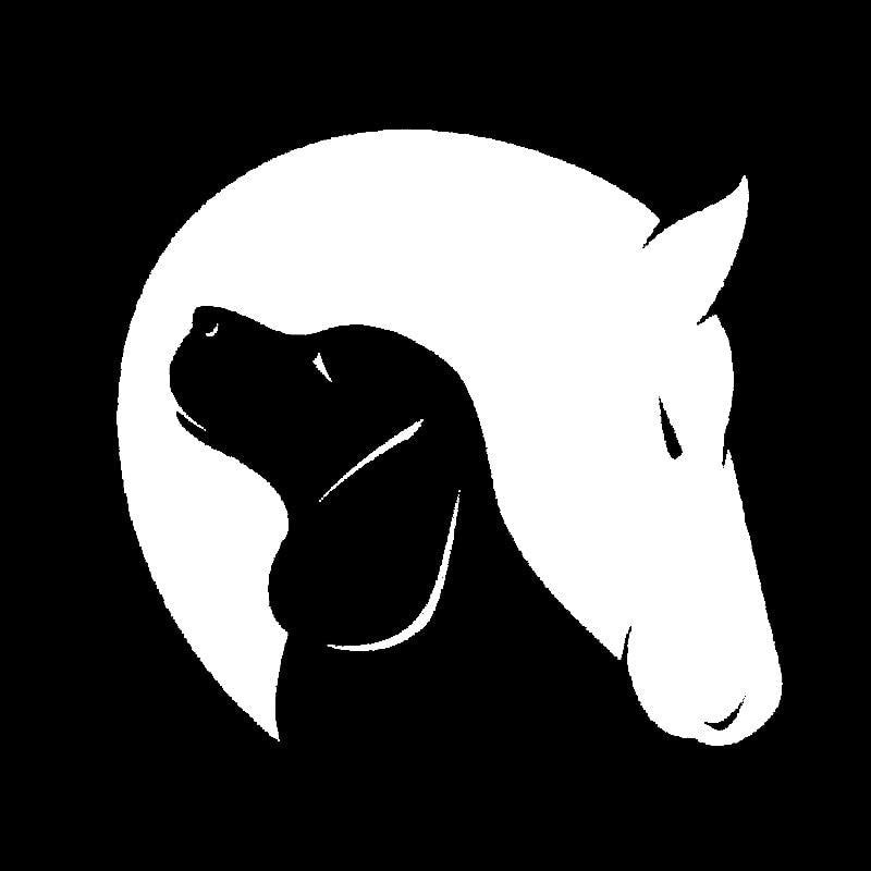 12.7CM*11.8CM Dog And Horse Friendship Love Animals Decor Car Vinyl Decal Stiker Black/Silver C10-00284