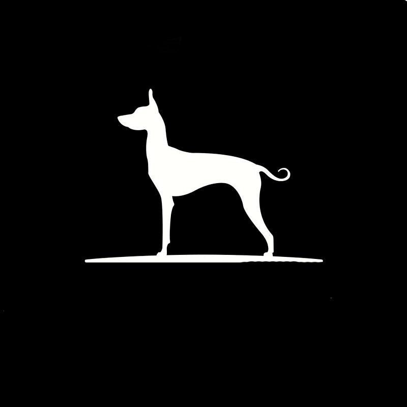 16.8CM*12CM Mexican Hairless Dog Vinyl Car Window Car Sticker C2-3021