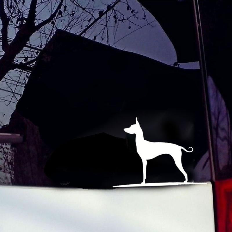 16.8CM*12CM Mexican Hairless Dog Vinyl Car Window Car Sticker C2-3021