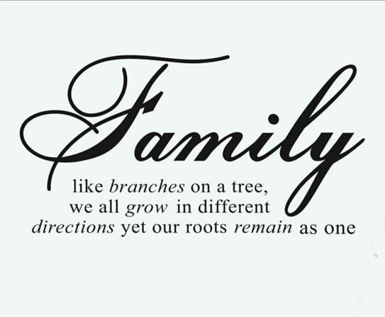 Family Like Branches On a Tree ... Warmly Family Saying Quotes Living Room Vinyl Carving Wall Decal Sticker for Home Window Decoration