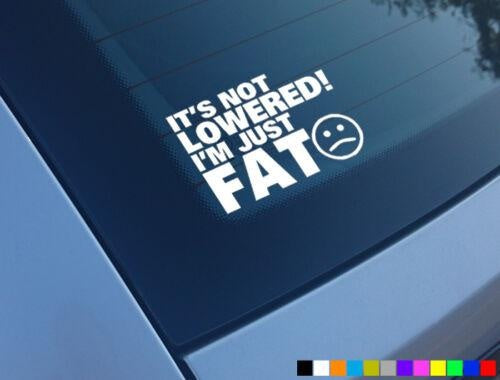 Sa pas baissé im Fat Drôle Autocollant Voiture Autocollant Pare-chocs Fenêtre Van Dub Vinyl