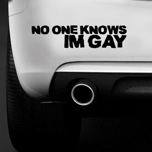 2018 NEW  NO ONE KNOWS IM GAY Funny Car Bumper Sticker