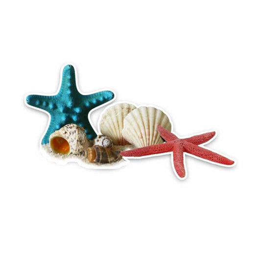 17.5CM*9.5CM Cartoon Marine Organism Seashell Starfish PVC Car Sticker Decal