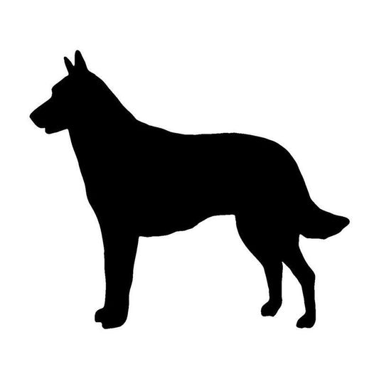 14.7*12.7CM Belgian Malinois Dog Car Window Decorative Stickers Lovely Animal Decal Accessories C6-0942