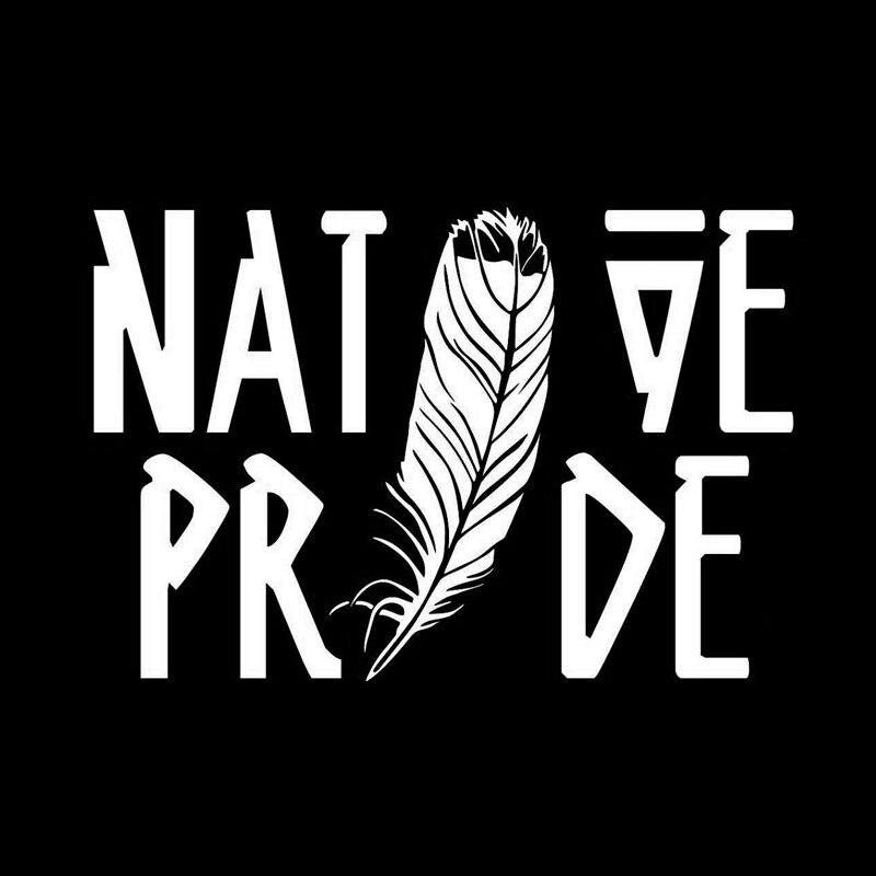 15*10CM Fashion Native Pride FEATHER Decals Vinyl Car Stickers Black/Silver