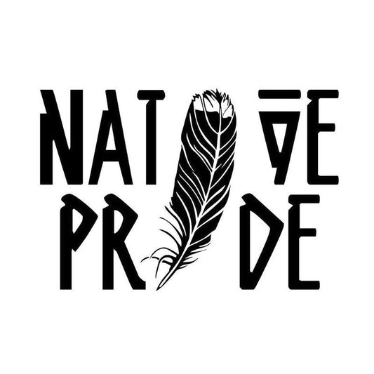 15*10CM Fashion Native Pride FEATHER Decals Vinyl Car Stickers Black/Silver